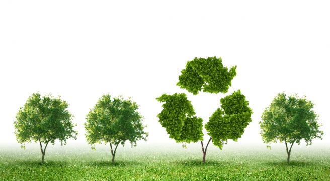 Green Living Paper Recycling Saves Trees